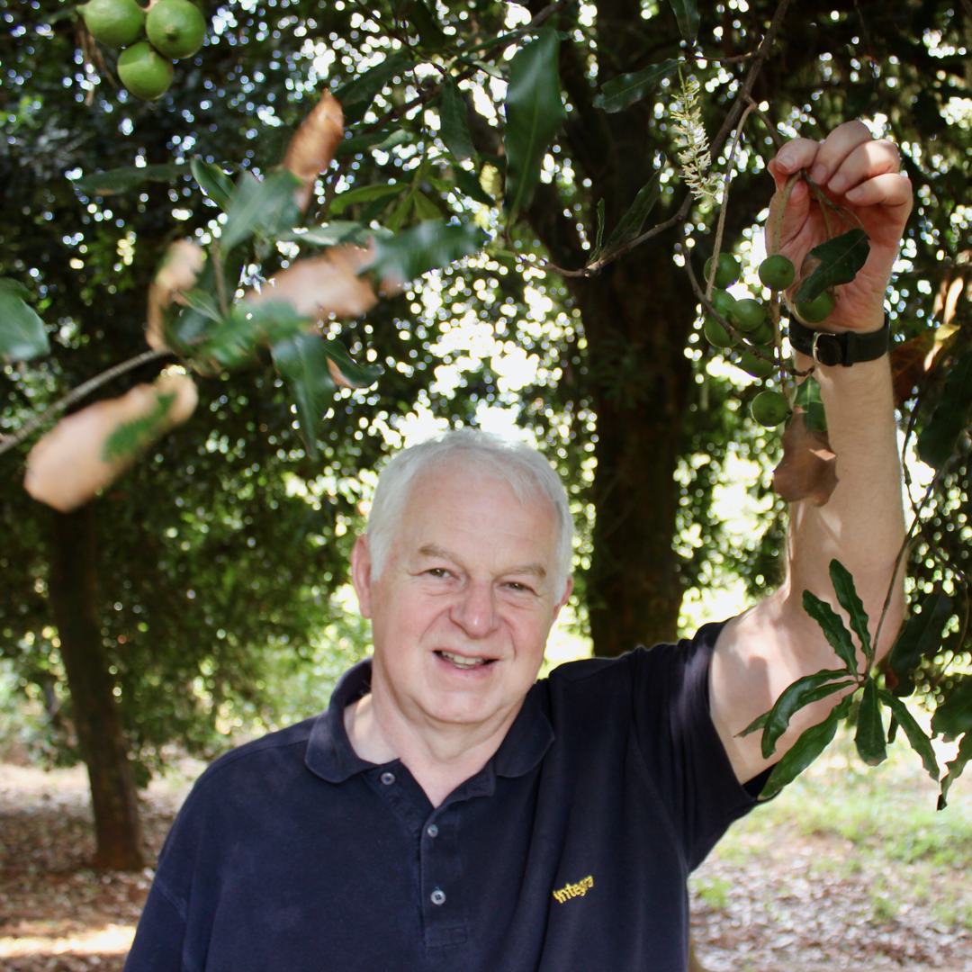 Integra Allan Bussard Fair Trade Macadamia nuts