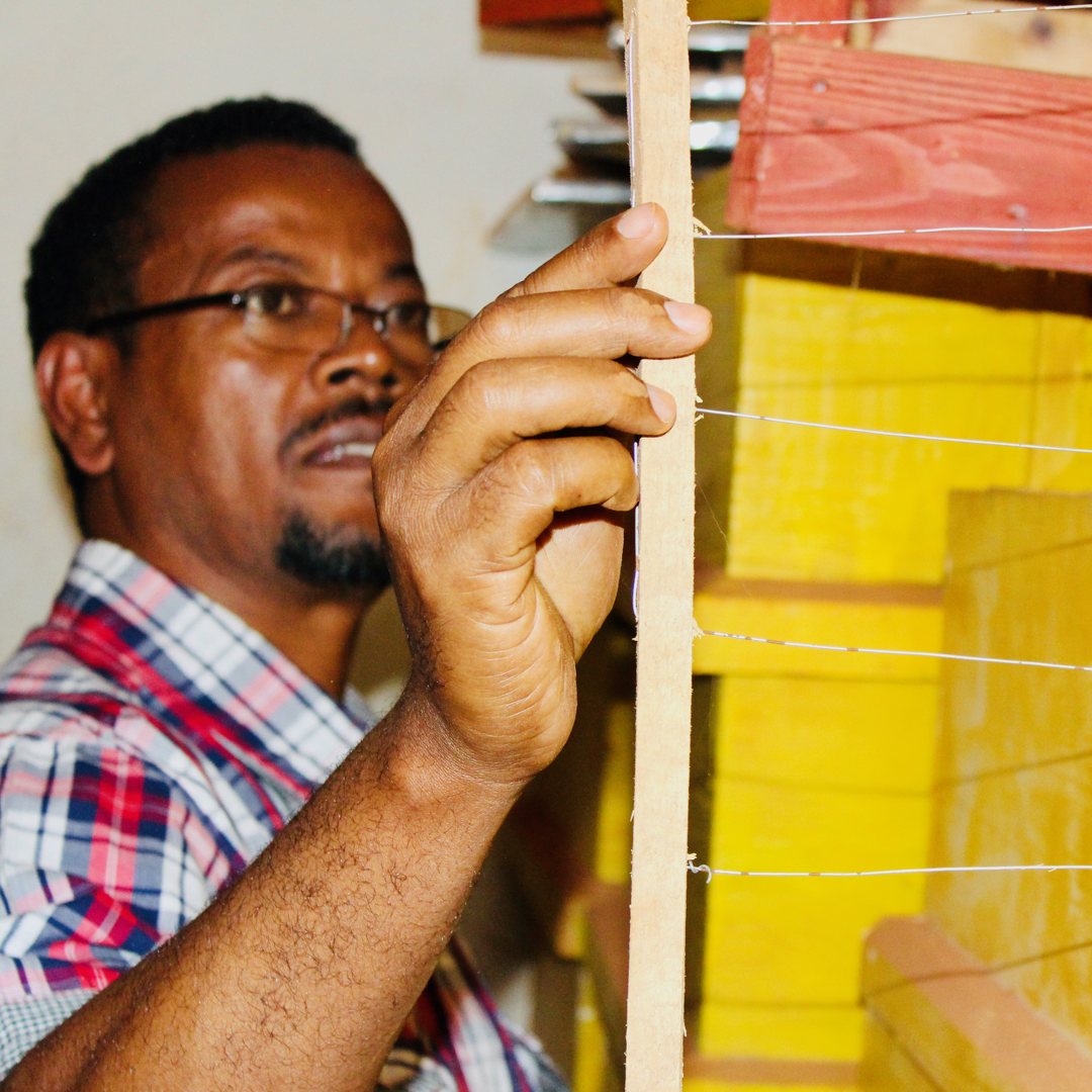 Integra Beekeeping Ethiopia