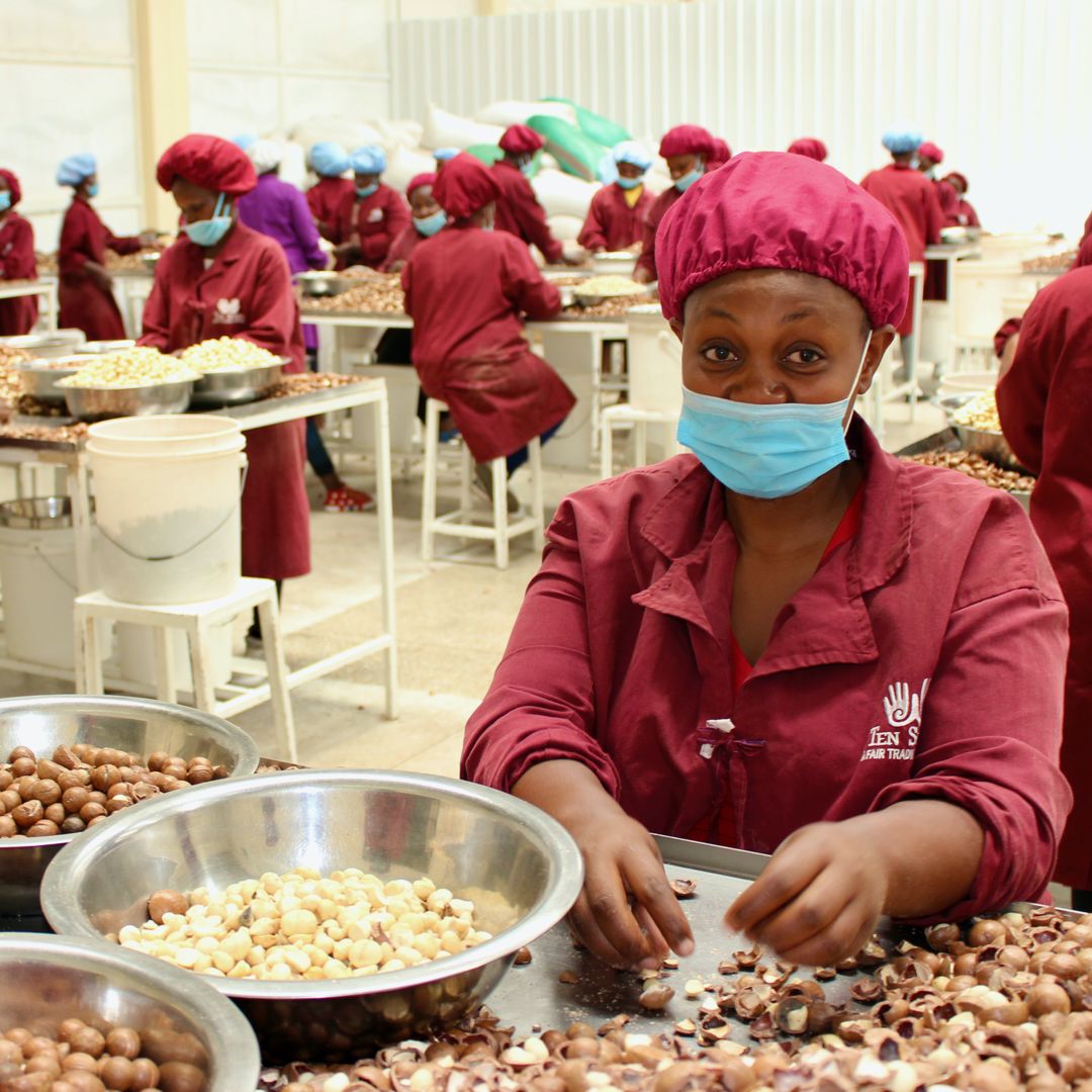 Integra Fair trade macadamia nuts factory workers